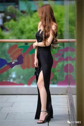 左少的心尖宠儿紫菱衣