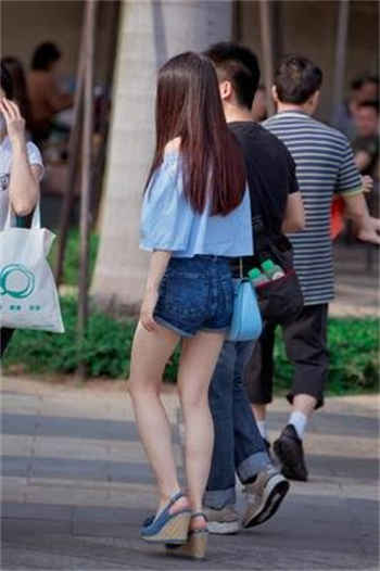 霍莽和蓝晚小说