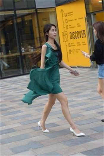 兽皇美女与动物