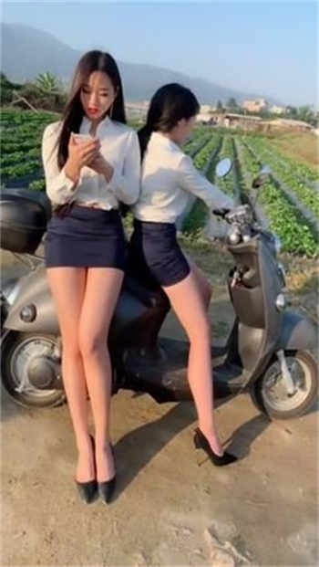 草莓樱桃榴莲向日葵免费