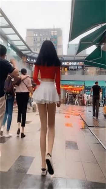 小马拉大车资源免费