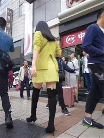 爱情公寓h5部分19小说