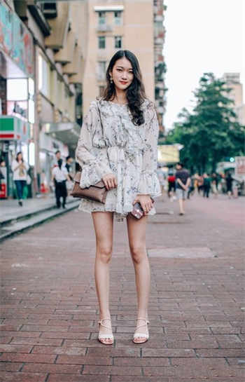 欧洲人和动物兽皇